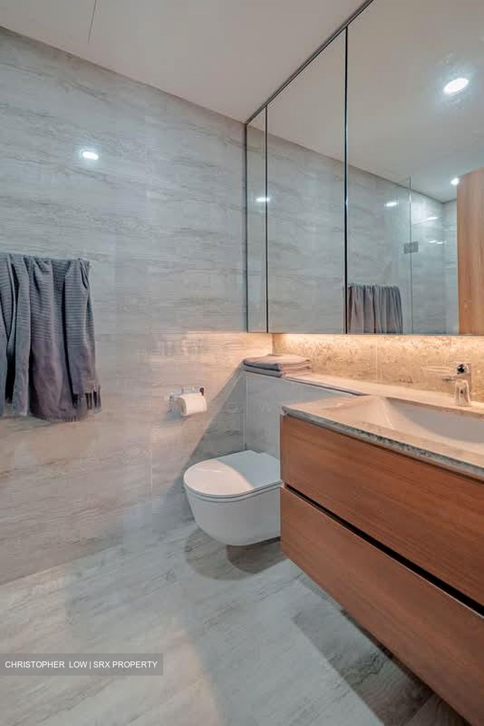 Fourth Avenue Residences (D10), Apartment #526890001
